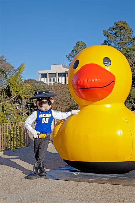 The Story Behind UCSB Sports Teams' Iconic Colors and Mascots